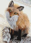 (image for) Beach Fox